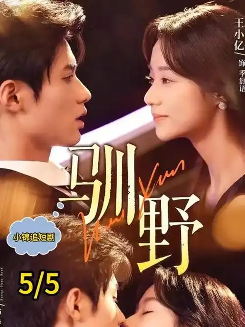 潮汐之下 海岛悬疑剧全集在线观看